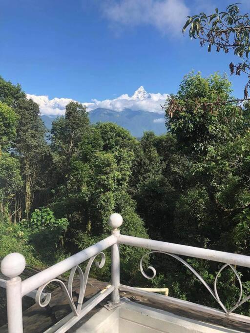 Ghost Villa Pokhara With Mountain View 20Mins From Main Area Ranipauwa Dış mekan fotoğraf